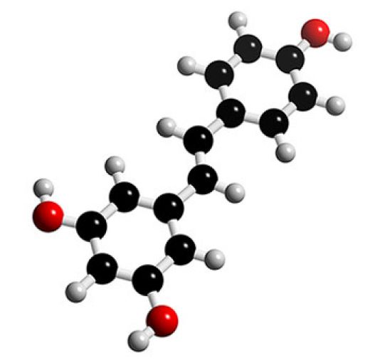 Ресвератрол