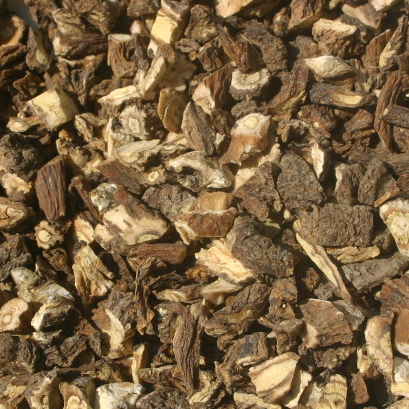 Корень одуванчика