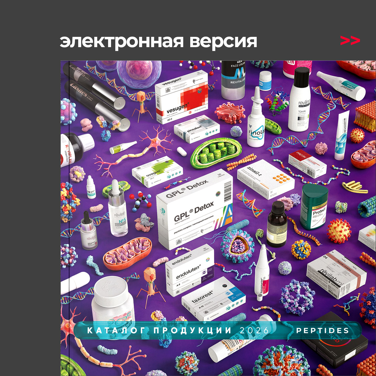 E-book-Catalog-2026-RU.jpg