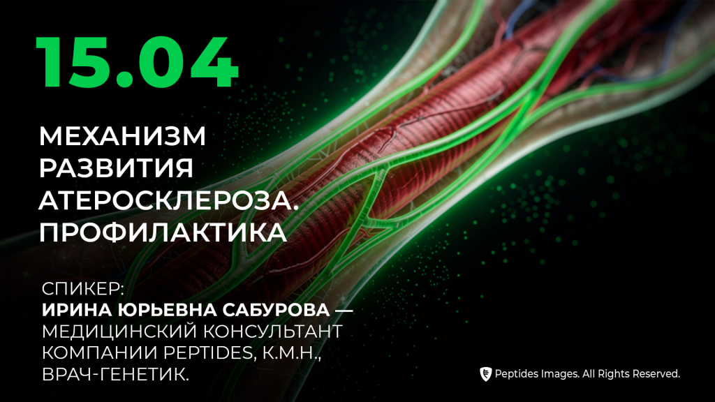 Механизм развития атеросклероза. Профилактика