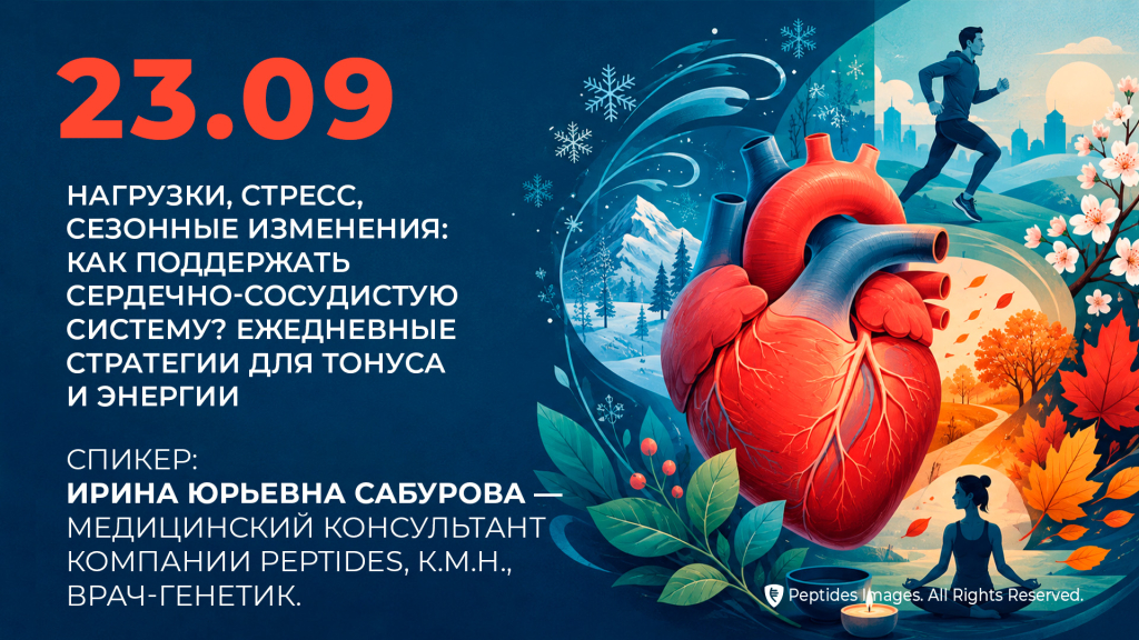Поддержка сердечно-сосудистой системы