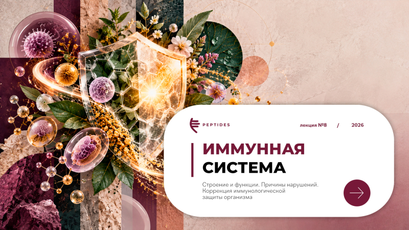 Иммунная система: строение, функции, нарушения и коррекция