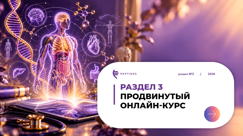 Продвинутый онлайн-курс Peptides
