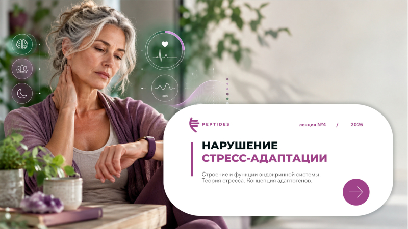 Нарушение стресс-адаптации: эндокринная система, теория стресса, адаптогены.