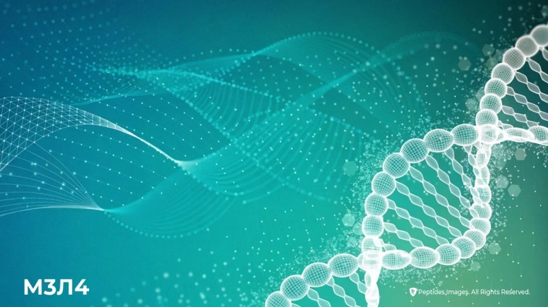 Развитие процессов гликации