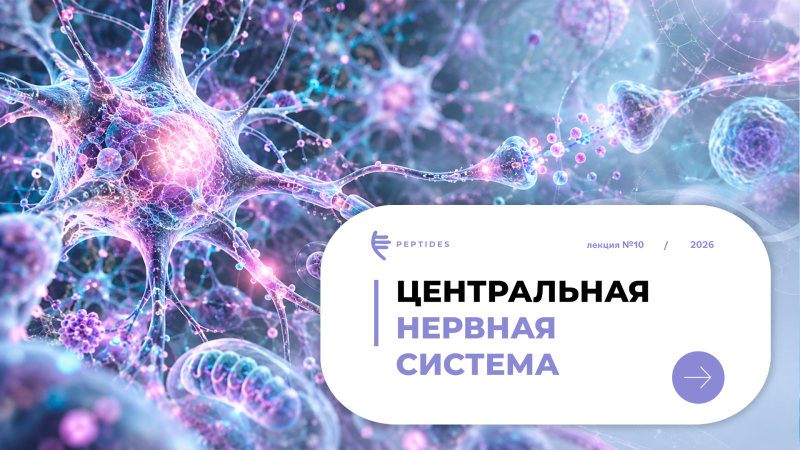 Нервная система