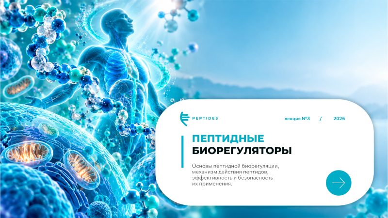 Основы пептидной биорегуляции: механизм, эффективность и безопасность.