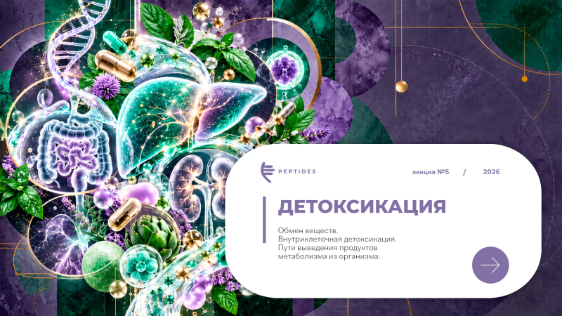 Детоксикация: обмен веществ, внутриклеточная детоксикация и выведение метаболитов.
