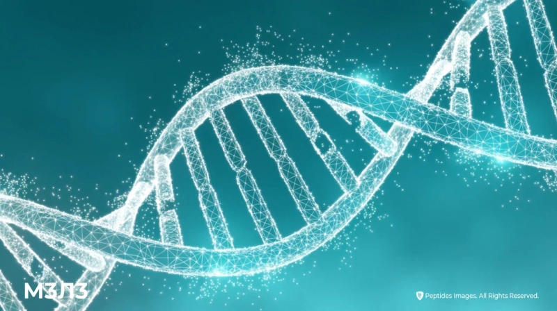 Оксидативный стресс