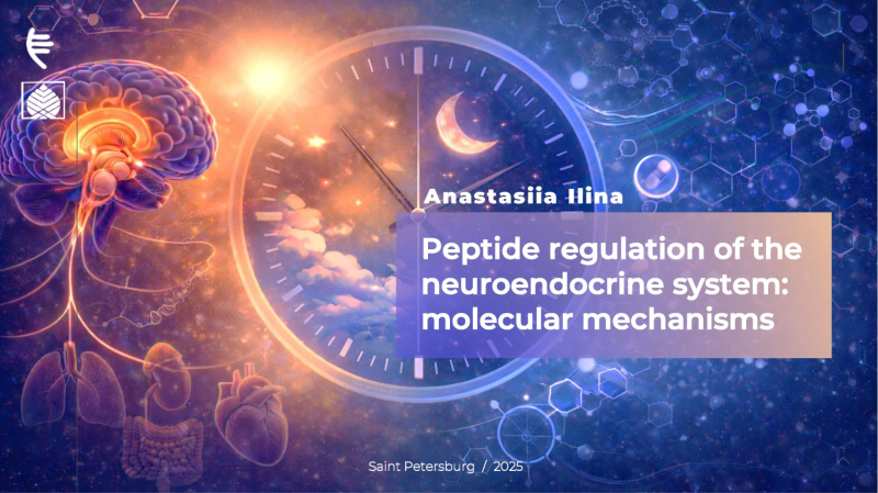 Peptide regulation of the neuroendocrine system molecular mechanisms