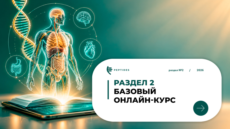 Базовый онлайн-курс Peptides