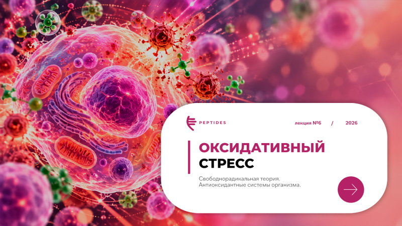 Оксидативный стресс: свободнорадикальная теория и антиоксидантные системы.