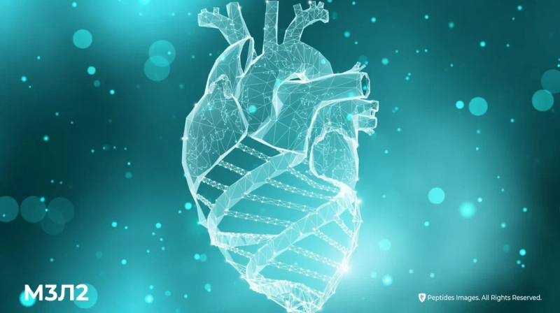 Нарушение процессов детоксикации организма